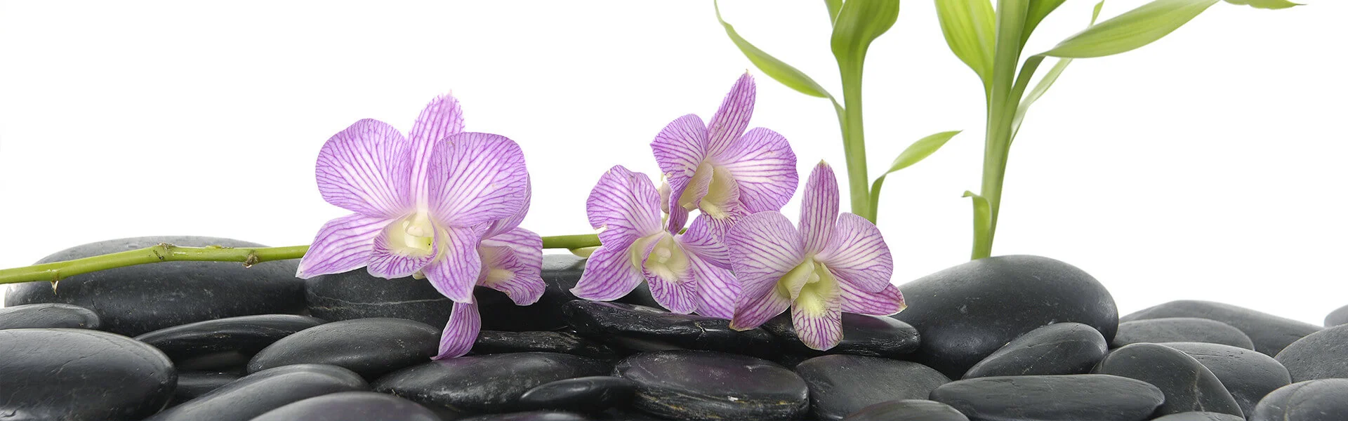 Hot Stone Terapi Masaji